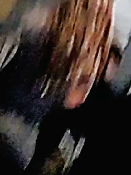 Bubble Butt College Latina (not mine)