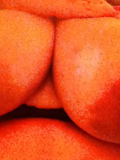 Fat dark-hued areolas ----ample bevy---- part