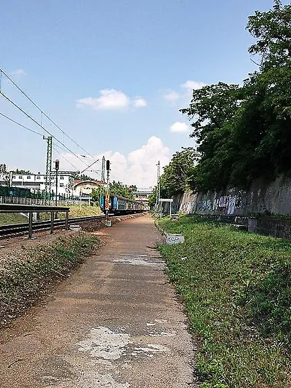 Older man satisfies a fresh blonde with his experienced tongue a