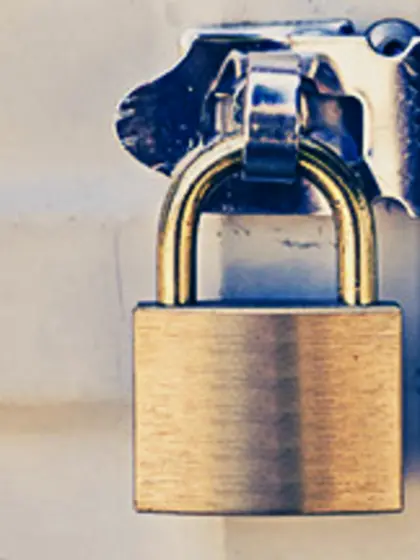 Wanda's Gallery From Ms.  Denvers