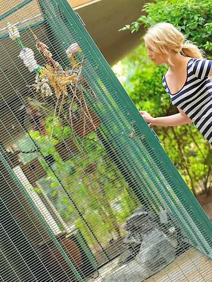 Young woman in a striped dress very casually exposes her vagina