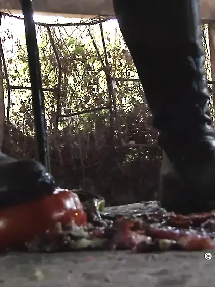 Disgust Training by Reell