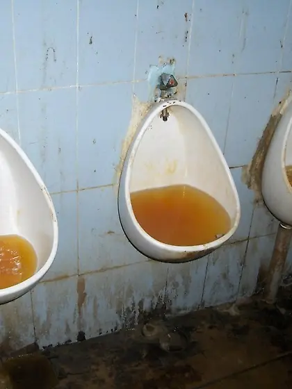 dirty, bulge, urinal, toilet, toilets, stinking, smelly,