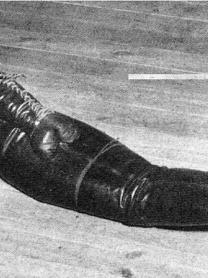 Scolding Hot Degeneracy