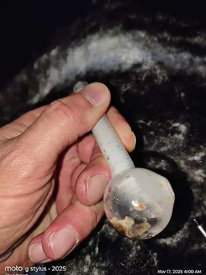 Here we are again on our own