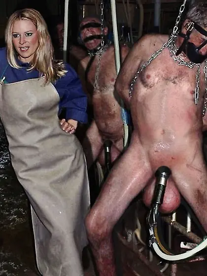 i have to milk the bull