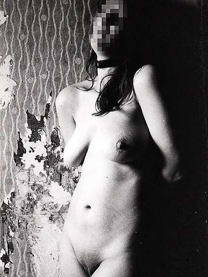 Collared and waiting