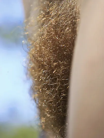 I Love Hairy Pussies # 80