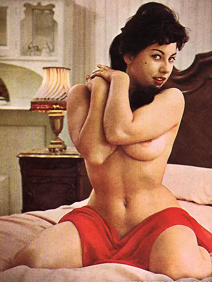 Amazing erotic pictures with vintage hotties...