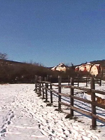 On a cold winter day this bitch sucks off her boyfriend and enjo