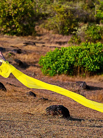 Young enchantress hot tits