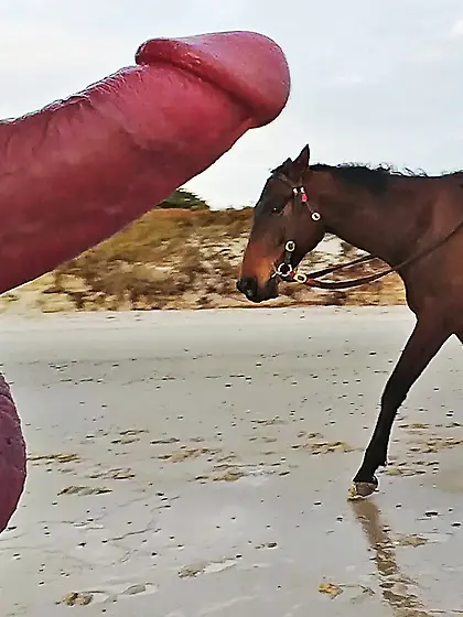 Public erection CFNM flasher on beach 4 cuties