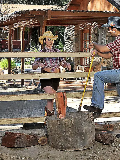 Flirty farmhand brown skirt