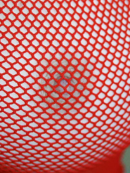Ginger FTV takes her sexy red fishnet top and shows us her bounc