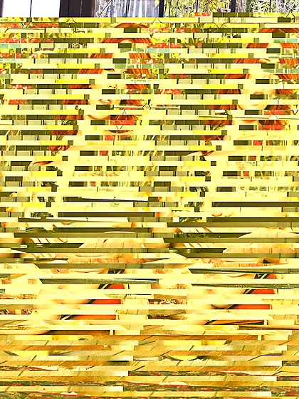 One thing is for sure,  there are not many redhead babes like lus