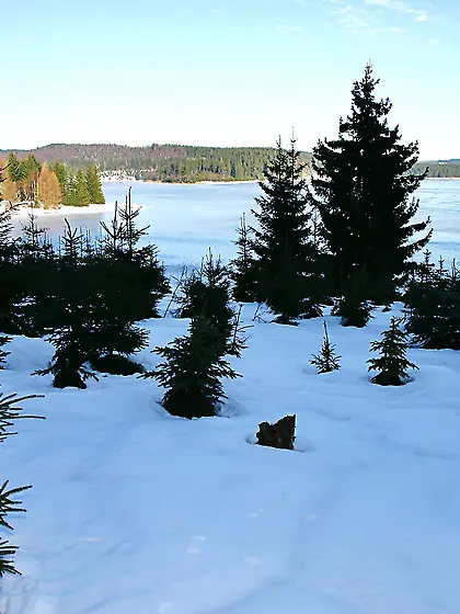 Beautiful brunette babe loves white snow so much that she even p