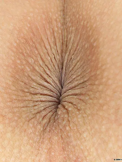 Buttholes & Spread Ass Cheeks