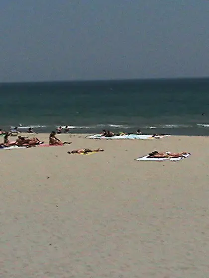 Attractive brunette babe Allaura Sweet strips on the beach and s