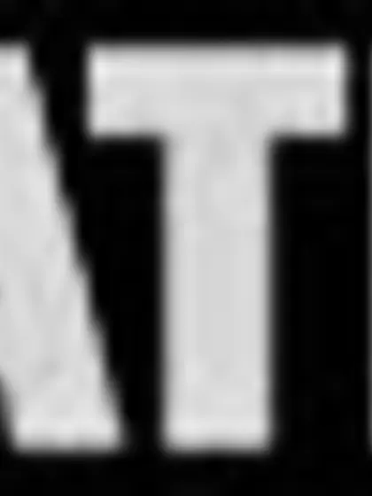 Brunette bitch bound wheelchair