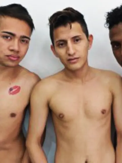 Brunette young man poll