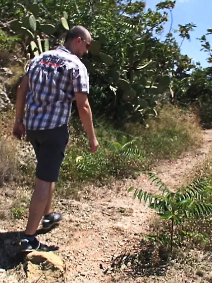 Natural tits amateur fuck