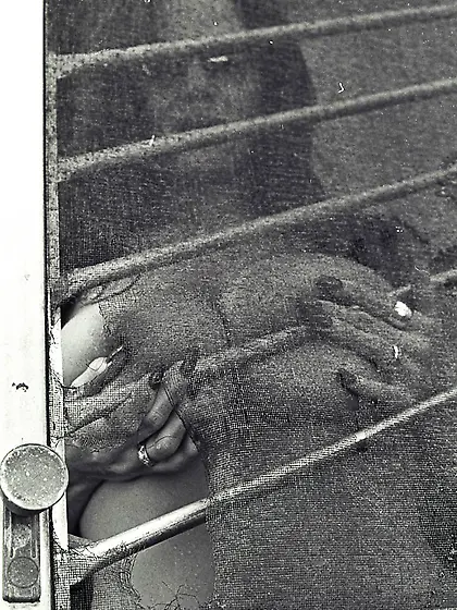 Gorgeous Kelly Madison stars in a hot black and white action ful