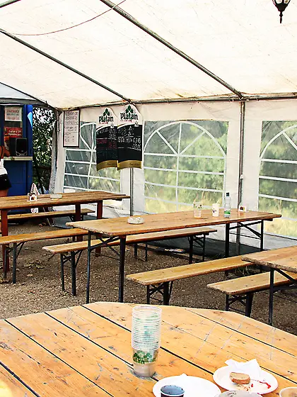 Daring girl publicly sucking