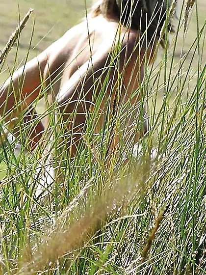 Fucksluts secretly photographed on the beach