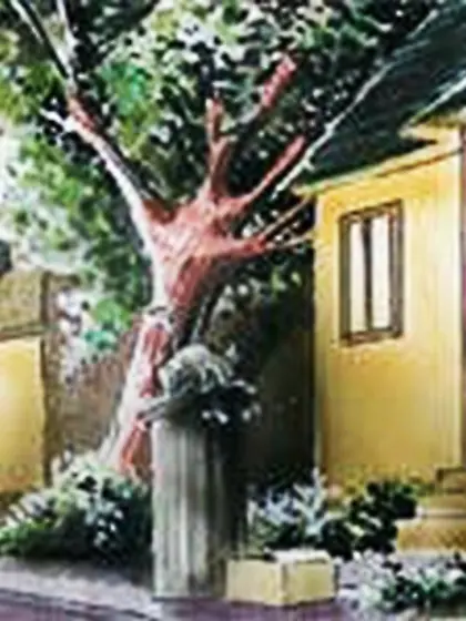 Mafia bondage art comics. My Sons Debt be...