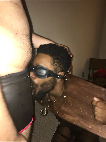 the natural order race theory white is right