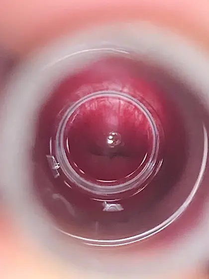 Would love to let a worm explore deeper