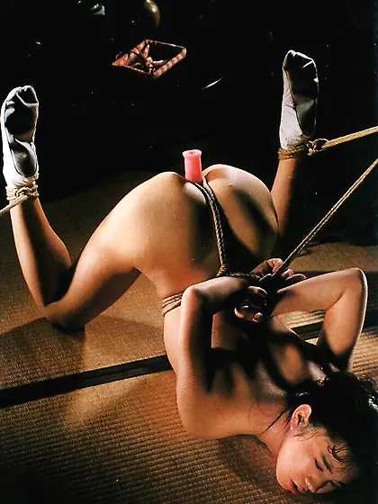 Salacious slavegirls Vol.  60