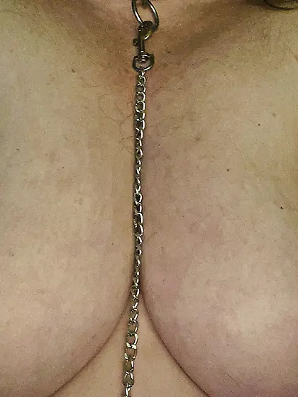 collar and tits