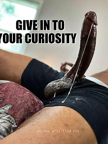 curiosity