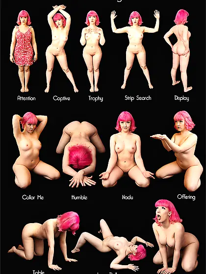 Submission pose chart