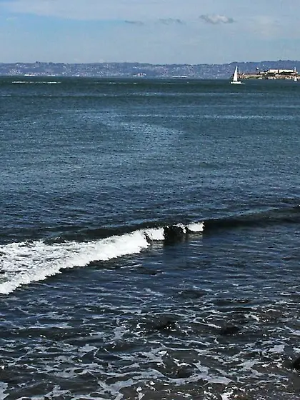 Vivacious tranny jerks cop