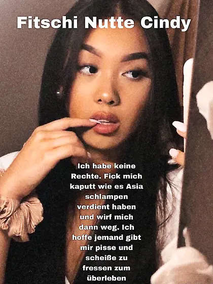 Brandenburg an der Havel Collection