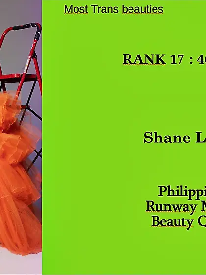 17th Supermodel category : Shane Lee AHN