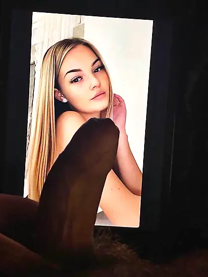 Brandenburg an der Havel Collection