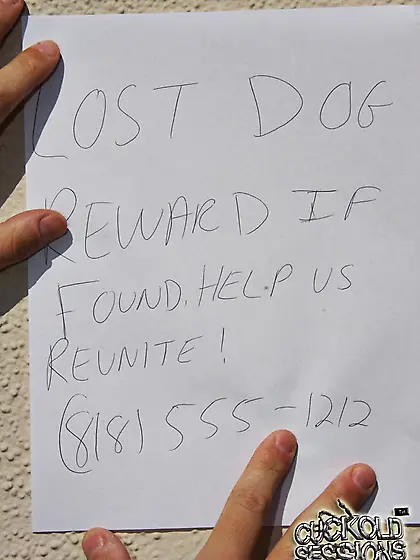 Sexy gadget Christine Michaels is getting black rods in her hot