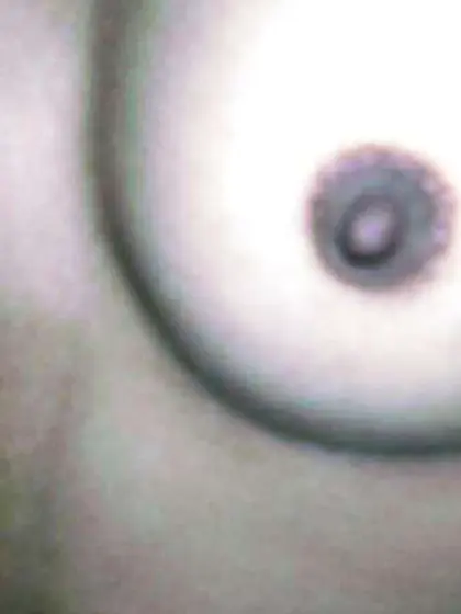 Indian Duo Pounding part