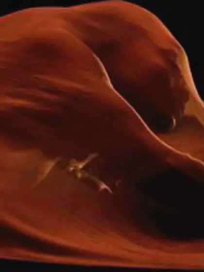 Rihanna Nipples In “Kiss It Better” Music Vi