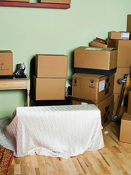 Pepper Foxxx gets her nasty and shaved pussy fucked after gettin