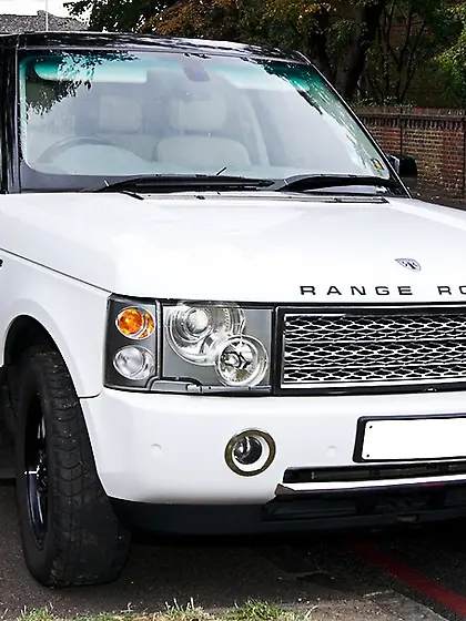 Brunette shemale sexy dress