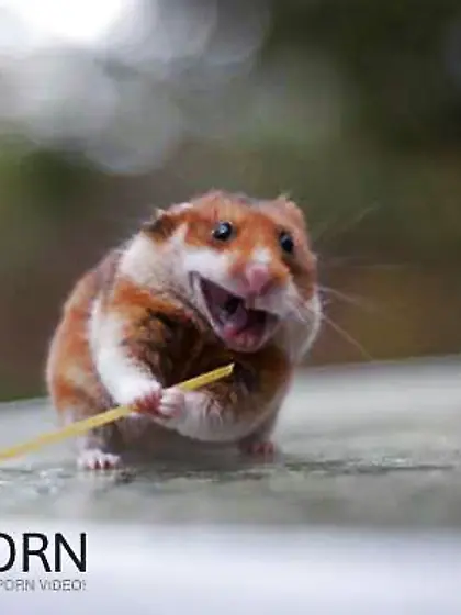 The Secret Lives of Tiny s!