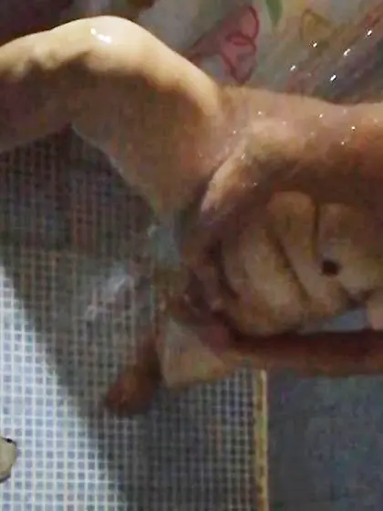 Mi madre en la ducha