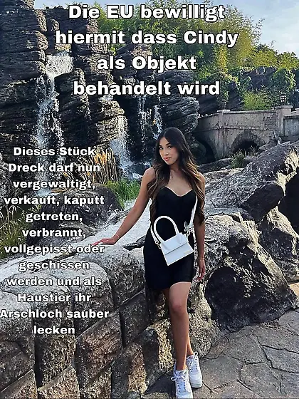 Brandenburg an der Havel Collection