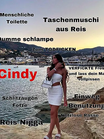 Brandenburg an der Havel Collection