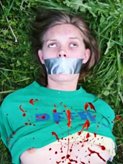 Katie's Pitchfork Nightmare