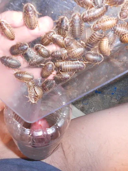 Excited and scared as I give in to my curiosity